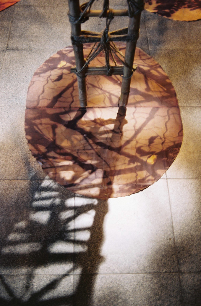 Within the room – Phía trong bức tường – 2005