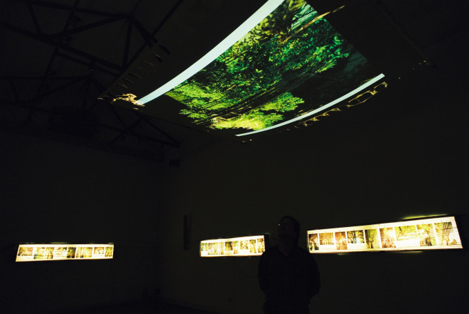 High above -Trên cao – 2007