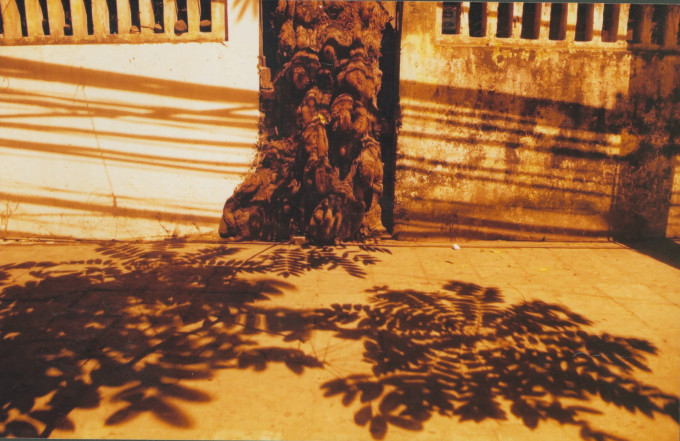 Leaf’s shadow – Bóng lá – 2005
