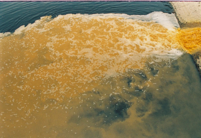 Story of water – Câu chuyện của nước -2004