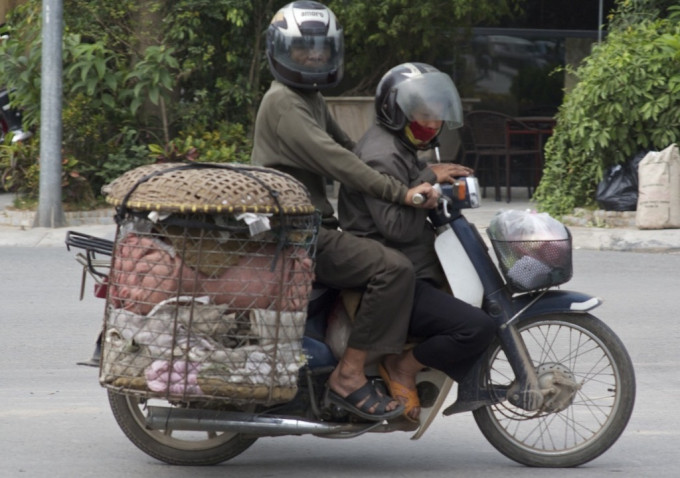 How to return “Honda” to Japan? – Làm cách nào để trả “Honda” về nước Nhật? – 2012