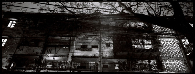 Oasis of silence – Ốc đảo tĩnh lặng – 2008