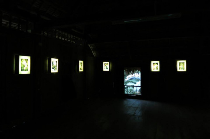 VINATREE photo-installation in I-CAMP project at Muong studio, Hoa Binh