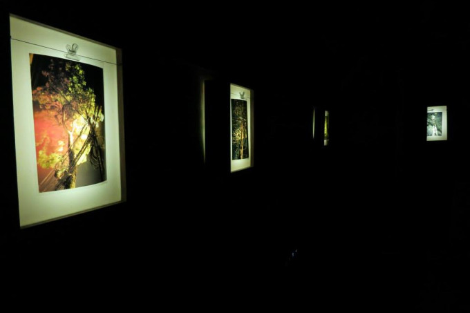 VINATREE photo-installation in I-CAMP project at Muong studio, Hoa Binh