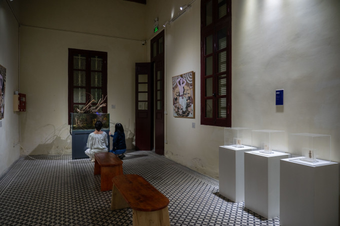 Hồn nhiên như cô tiên- 22 Hàng Buồm-2022