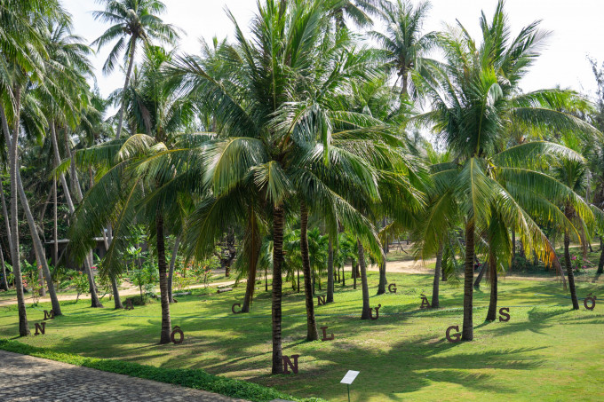 Nước mặn làng sông- ICISE quy nhơn- 2021